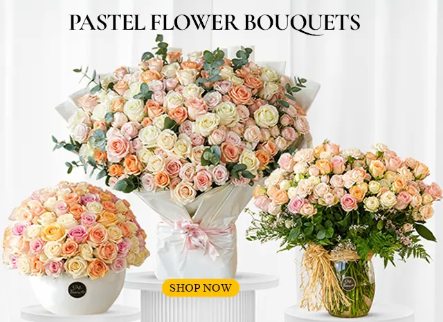 Pastel Collection