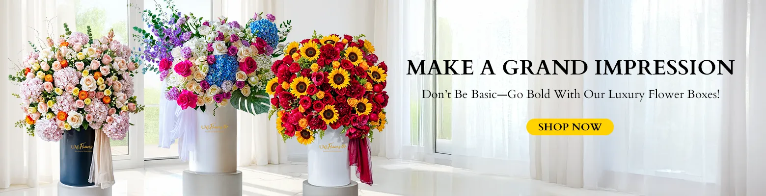 Flower in boxes