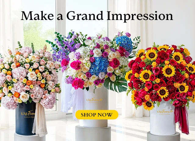 Flower in boxes