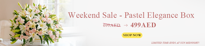 Weekend Offer