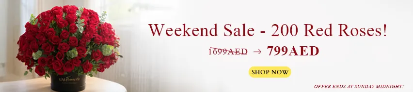 Weeken Offers