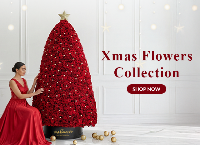 Christmas Collection