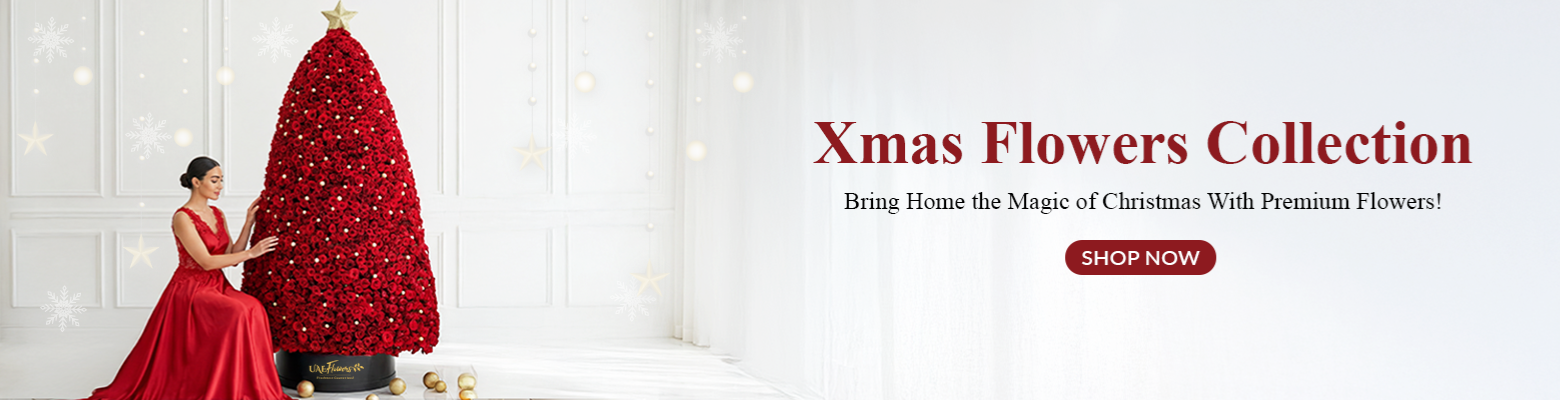 Christmas Collection