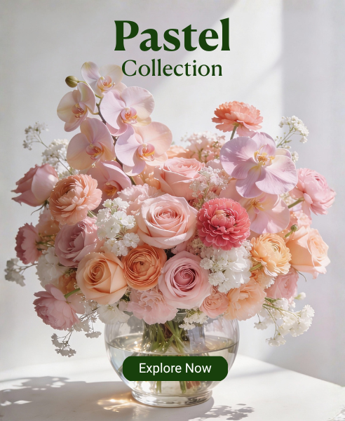 Pastel Collection