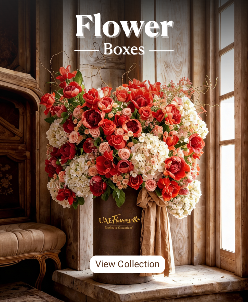 Flower in boxes