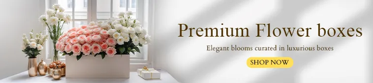 Premium Flower Boxes