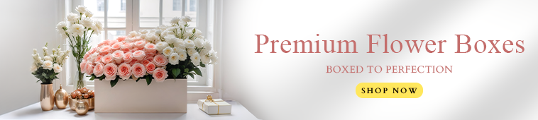 Premium Flower Boxes