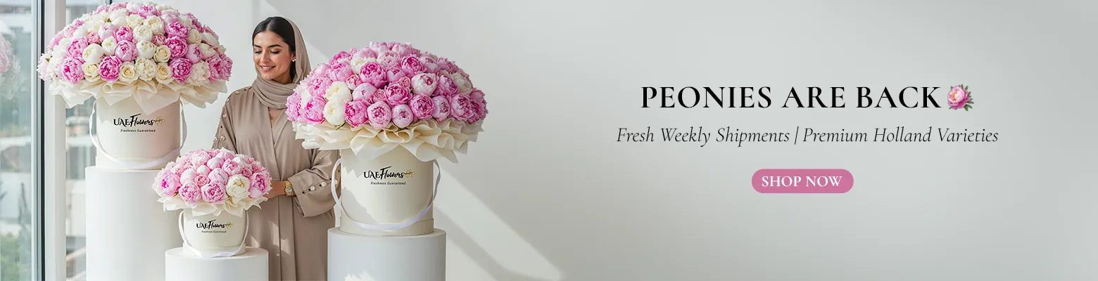 Peonies Collection