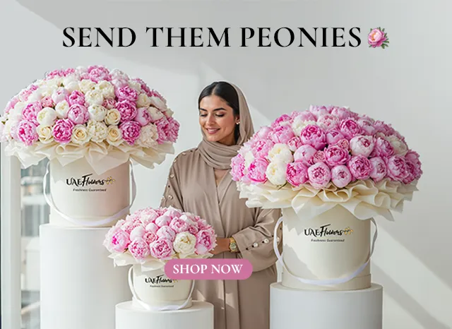 Peonies Collection