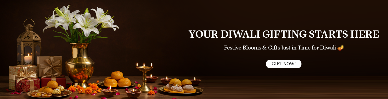 Diwali Collection