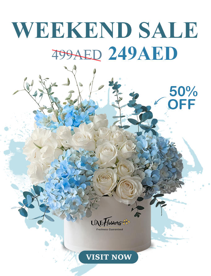 blue-elegance-box
