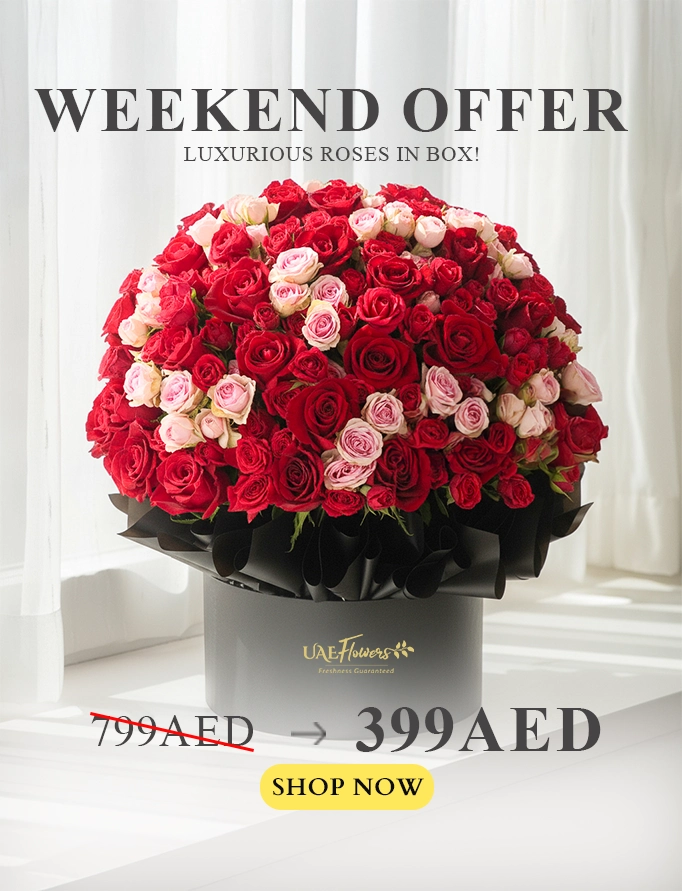 luxurious-roses-in-black-box