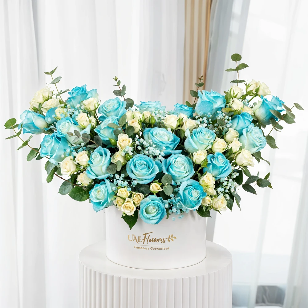 A box arrangement of 20 blue sprayed roses and 5 white spray roses with green & Baby's breath fillers.