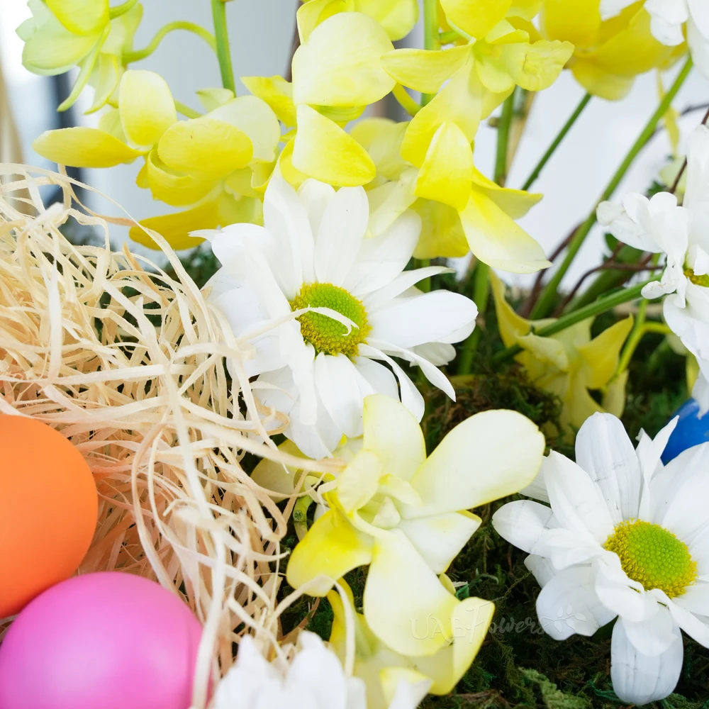A basket arrangement of 10 yellow orchids, 5 white chrysanthemums and multi-colored easter eggs with green fillers.