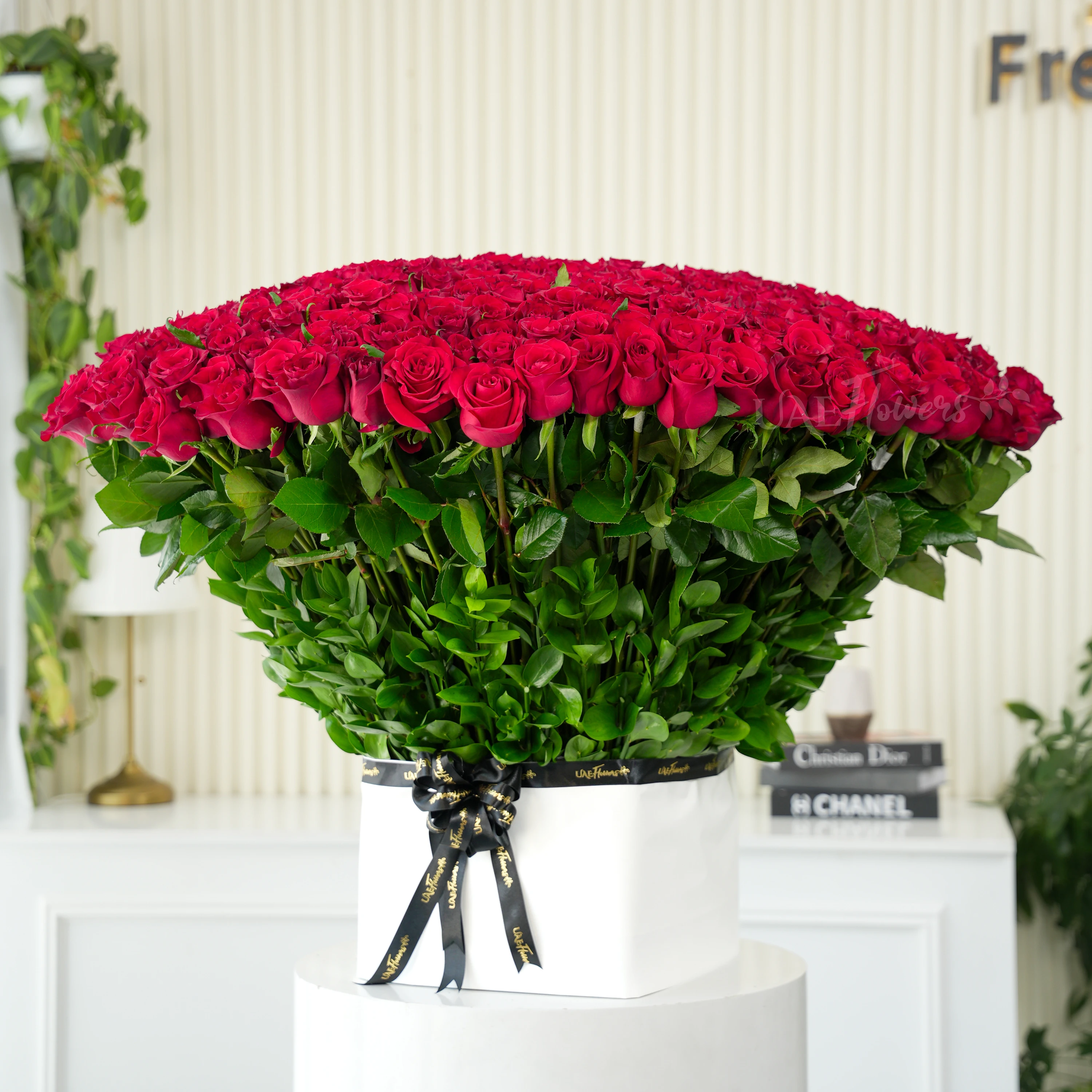 Bouquet of 500 Red Roses with green fillers