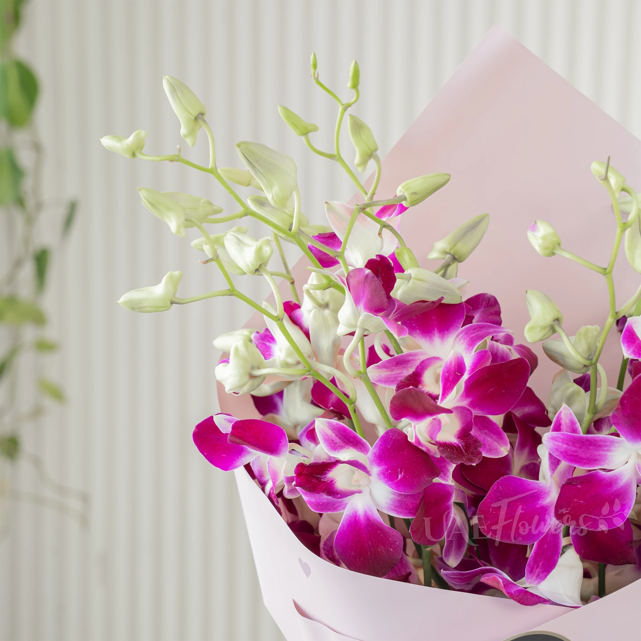 Bouquet of 10 purple orchids with fillers in a pink wrapping paper.