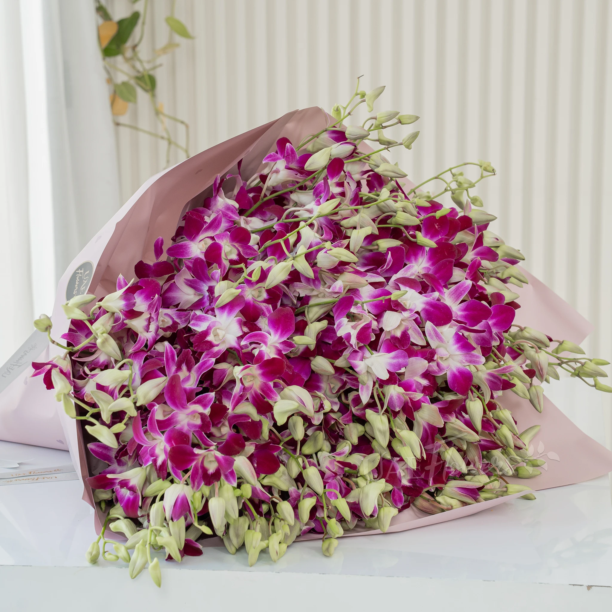Bouquet of 100 purple orchids with fillers in a pink wrapping paper.