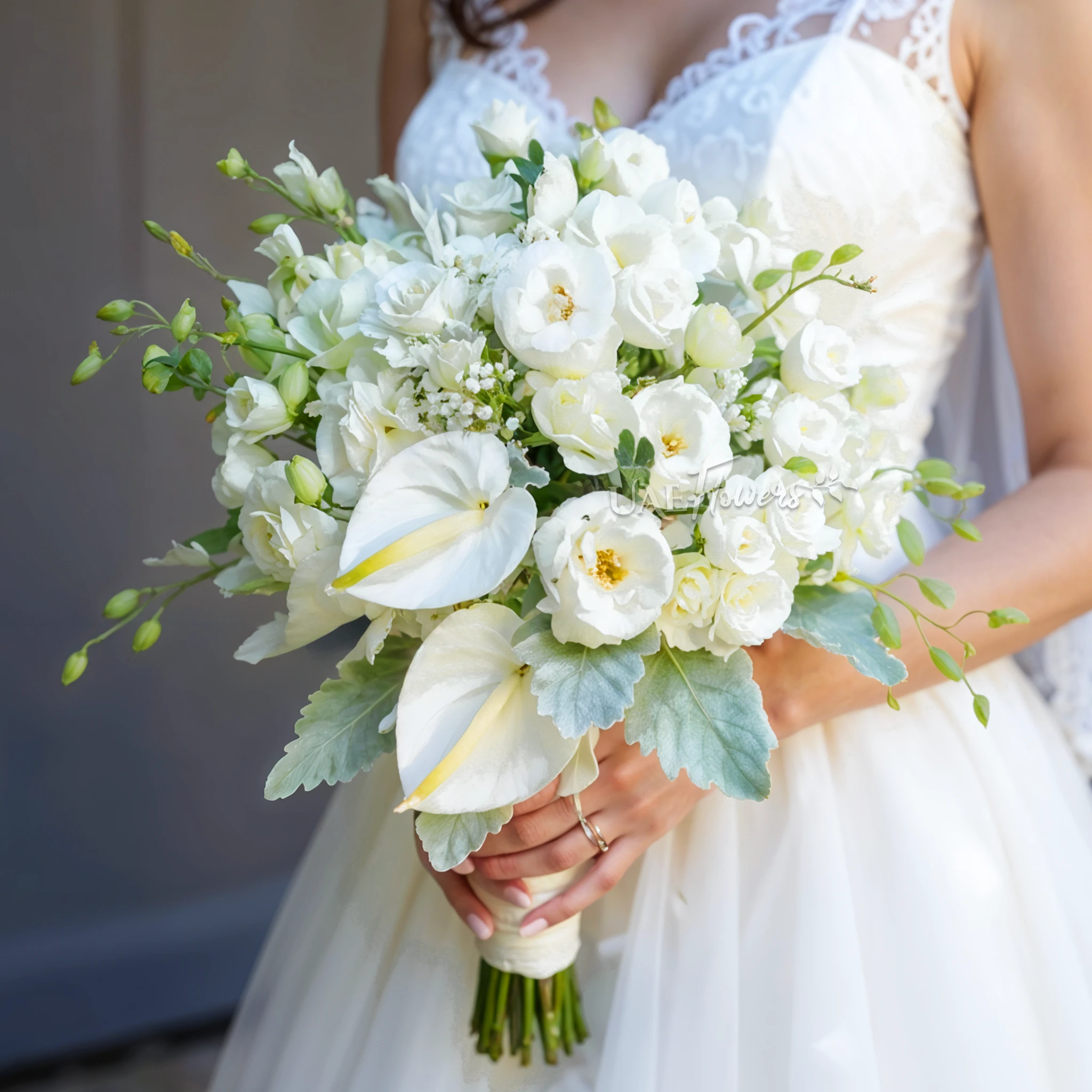 Bridal hand-tied bouquet of 10 white orchids, 3 white anthuriams, 5 white lisianthus and 10 white ranunculus.