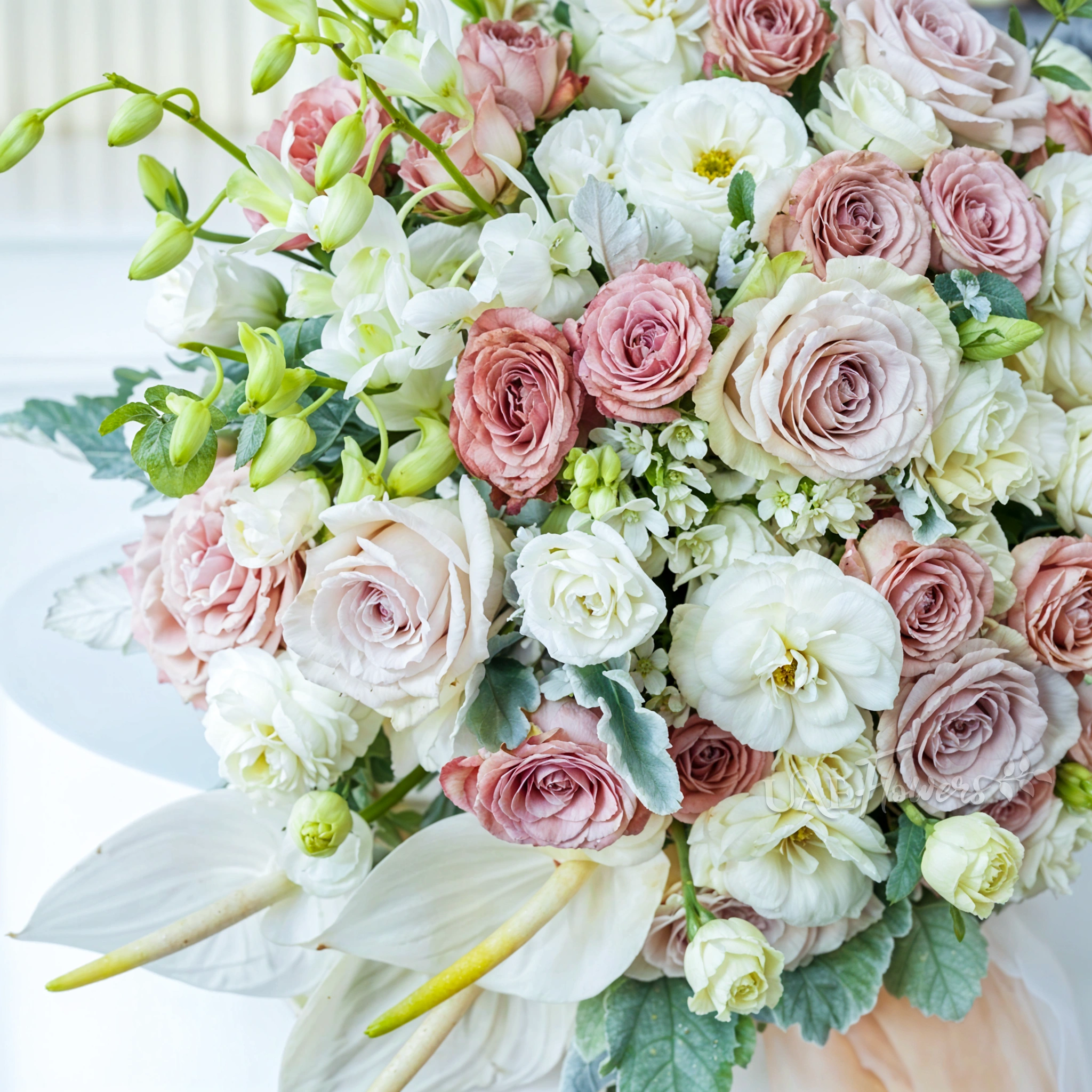 Bridal hand-tied bouquet of 20 cappuccino roses, 10 white orchids, 3 white anthurium, 10 white lisianthus, 3 oxypetalum with greens.