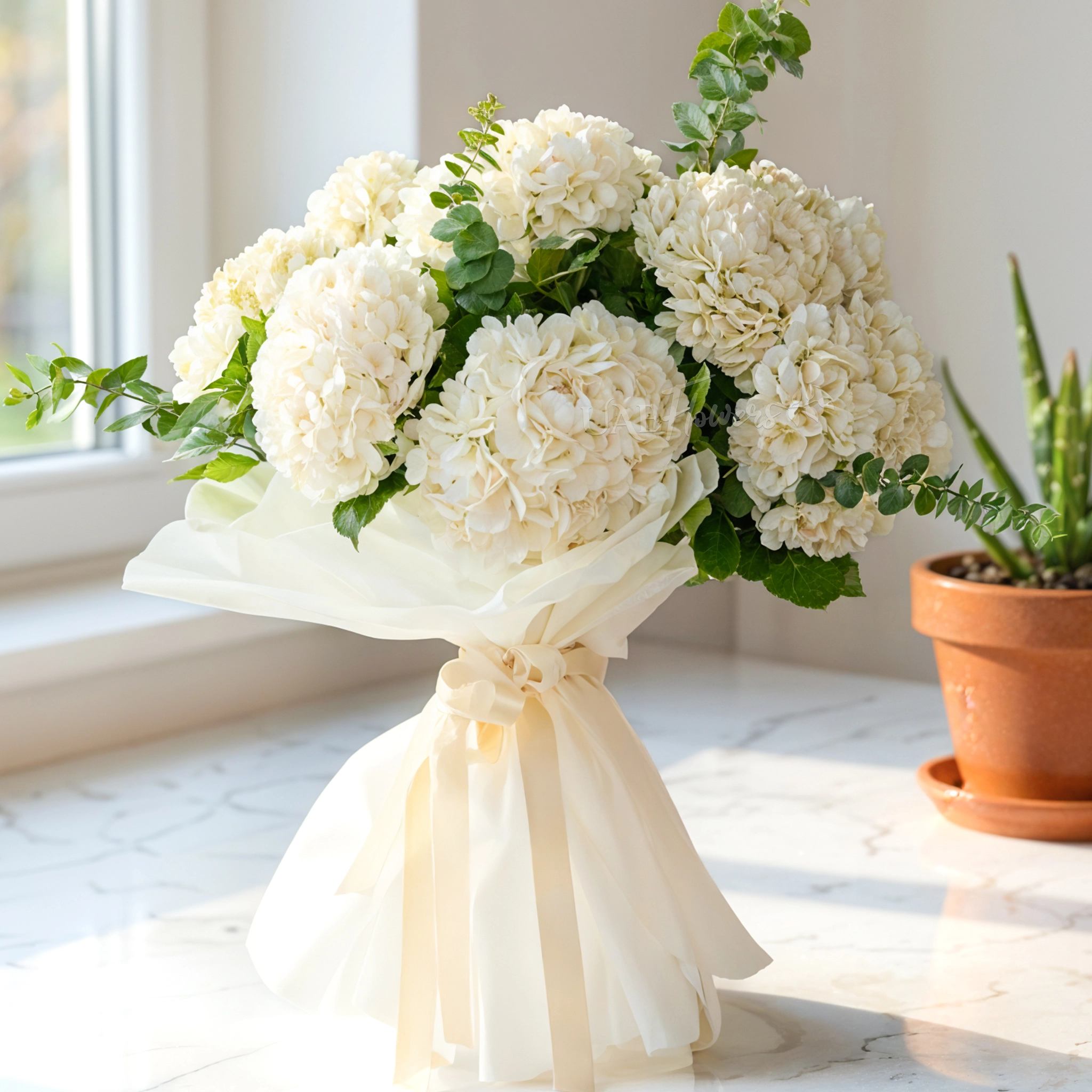 Cloud Nine white hydrangea bouquet