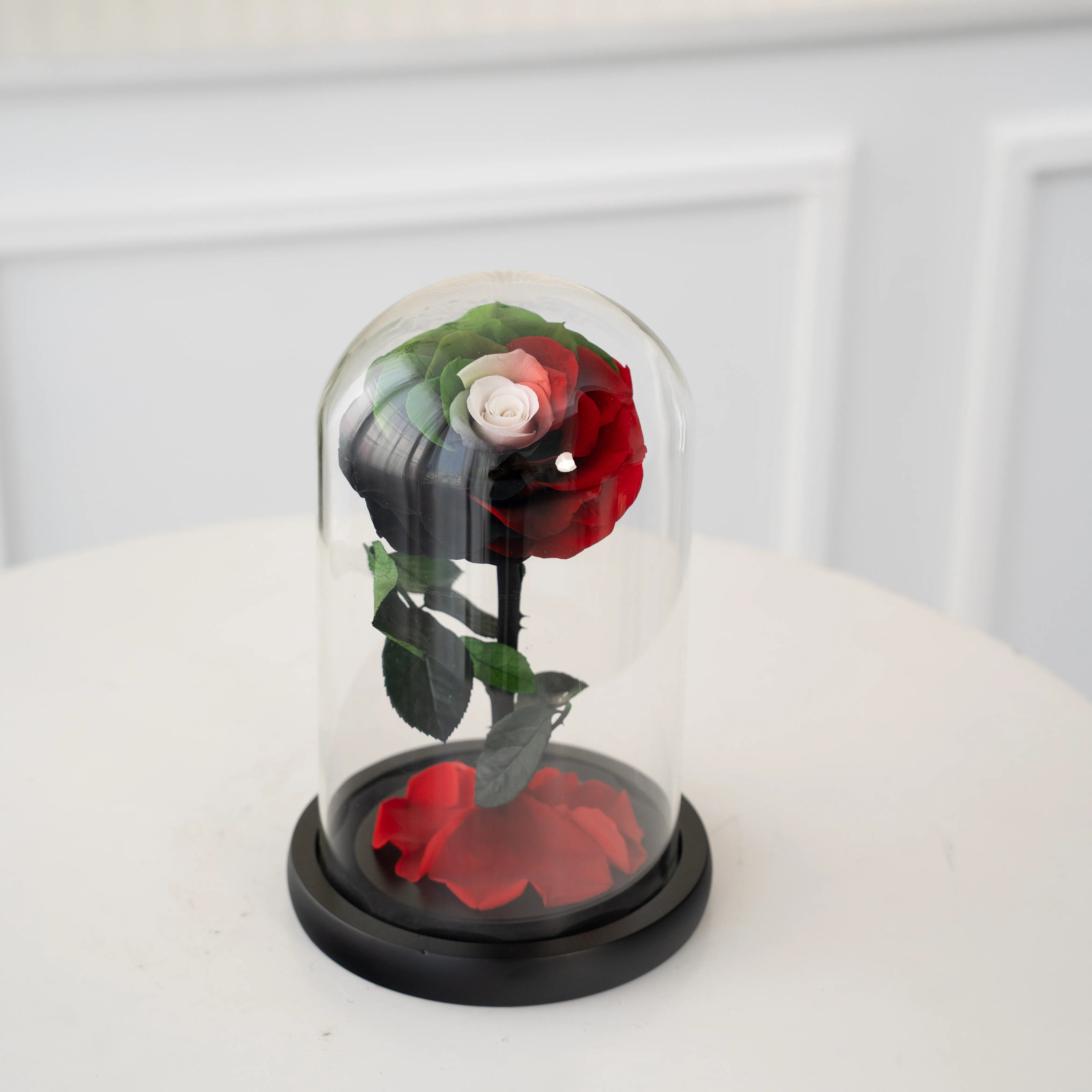 UAE Flag Color Forever Rose