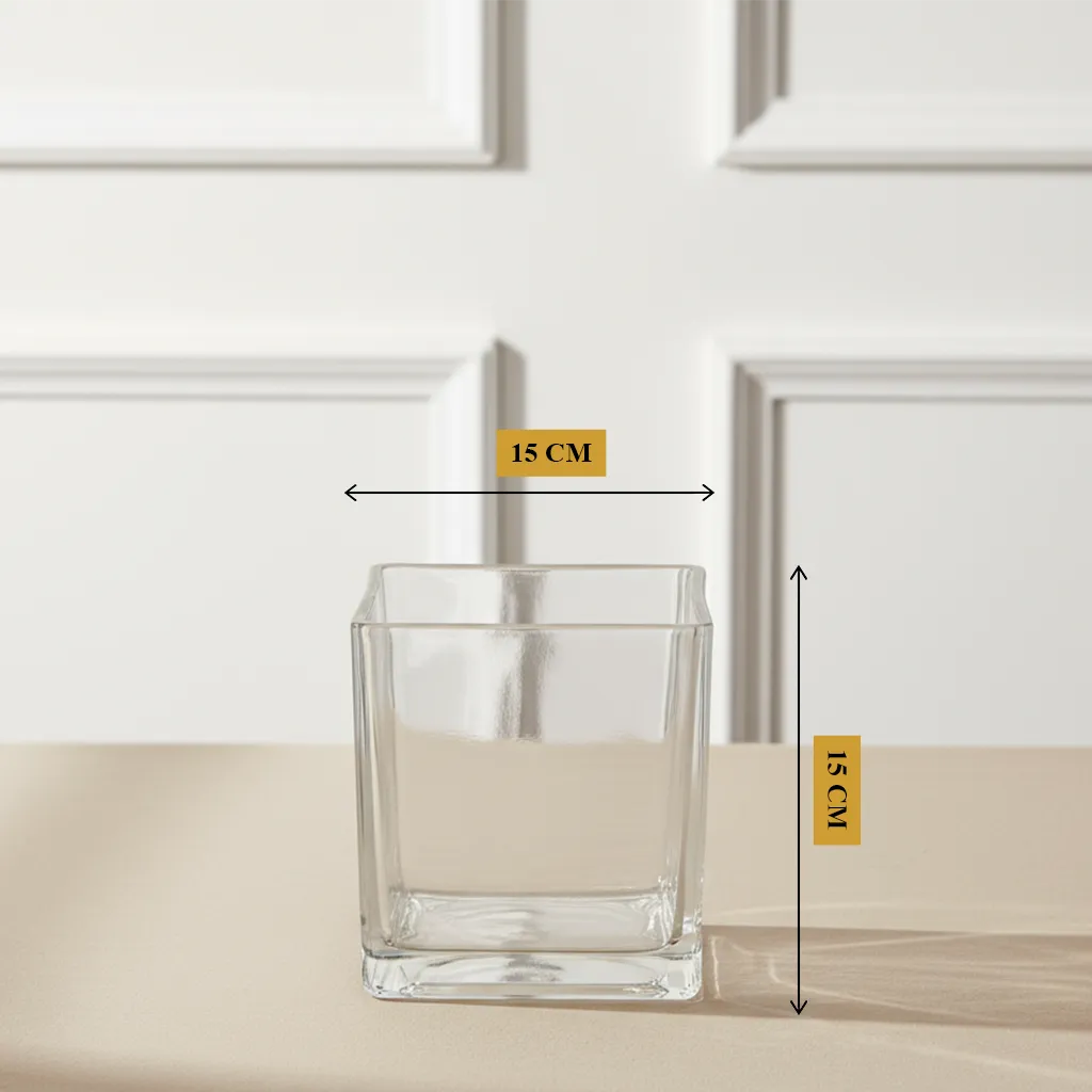 Prime Square Glass Vase 15 cm clear square cube design