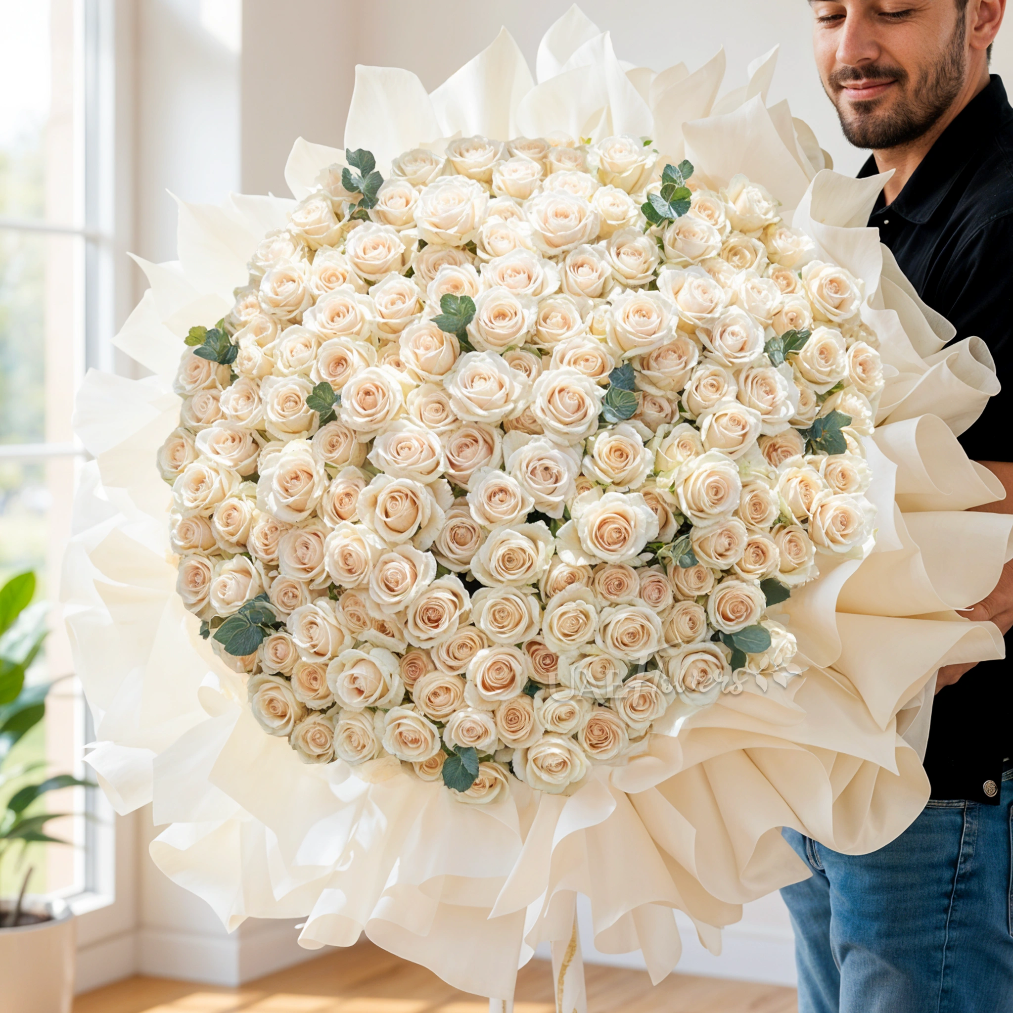 Grand bouquet of 200 cream roses with greens in nice wrapping.