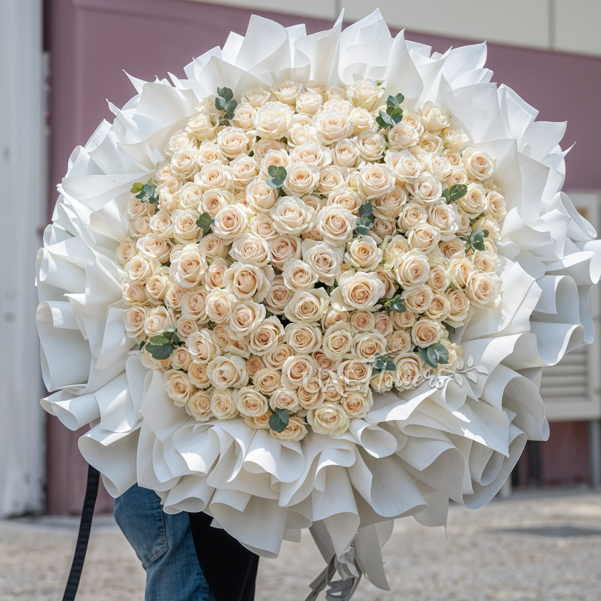 Grand bouquet of 200 cream roses with greens in nice wrapping.