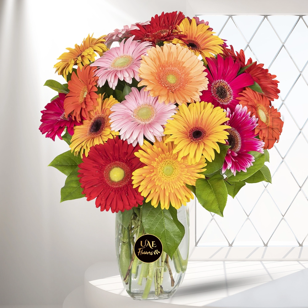 In a Vase Mix Color Gerberas