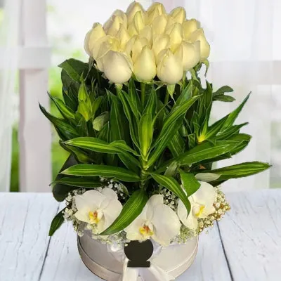 Flowers in Box