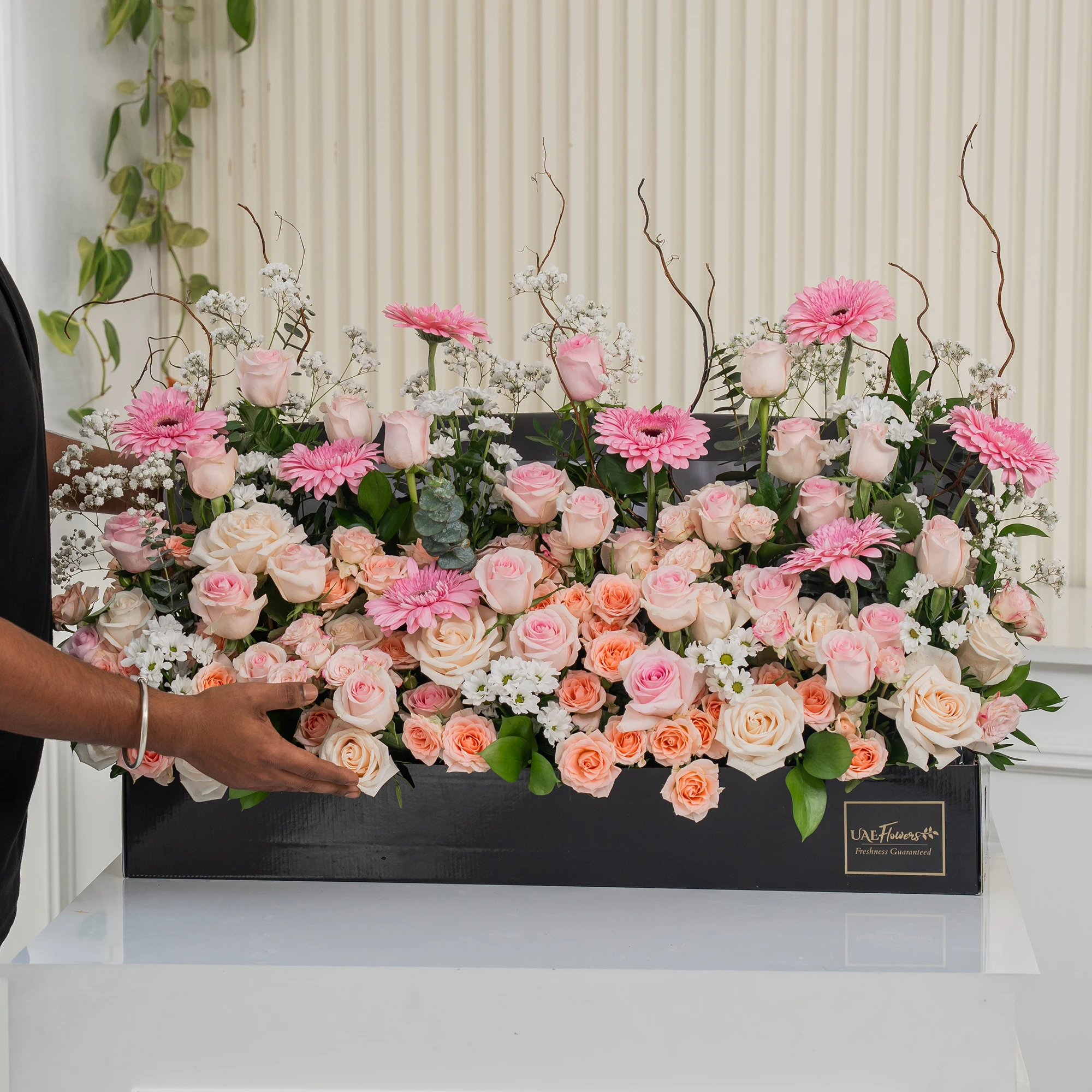 Arrangement of 8 pink gerberas, 30 pink roses, 10 peach roses, 10 Pink spray roses and 5 white chrysanthemums with green fillers and baby's breath in a long black box.