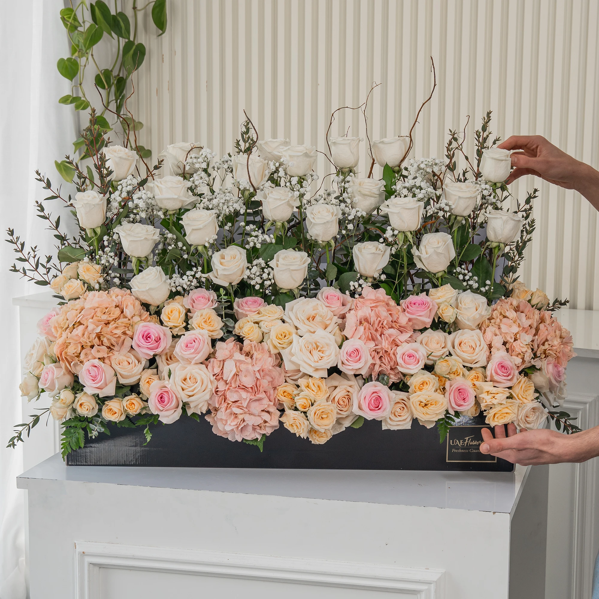 Arrangement of 30 White roses, 20 pink roses, 4 pink hydrangeas and 10 peach spray roses with green fillers and baby's breath in a long black box.