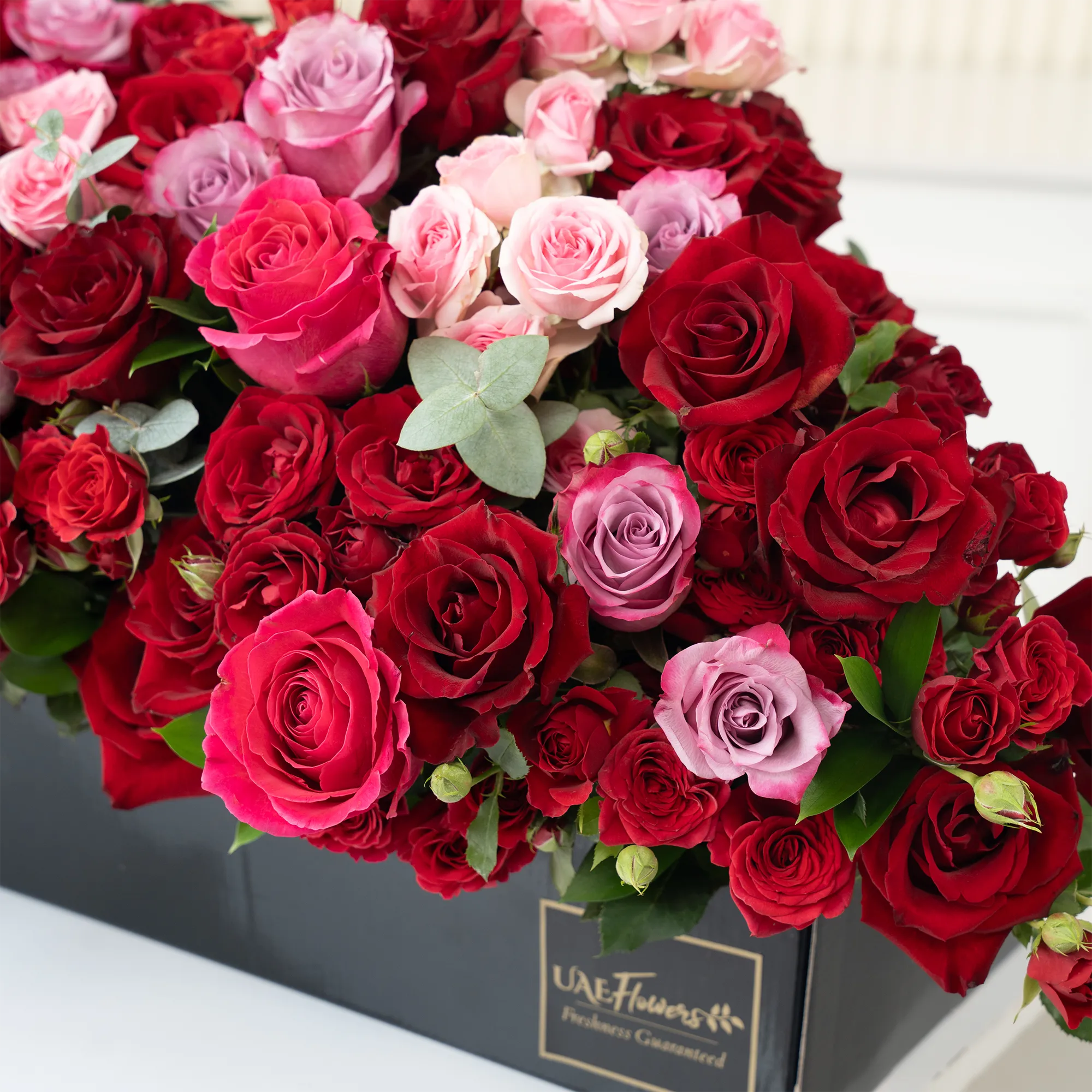 Arrangement of 20 red roses, 20 purple roses, 10 fuchsia roses, 20 red spray roses and 10 pink spray roses with green fillers in a long black box.