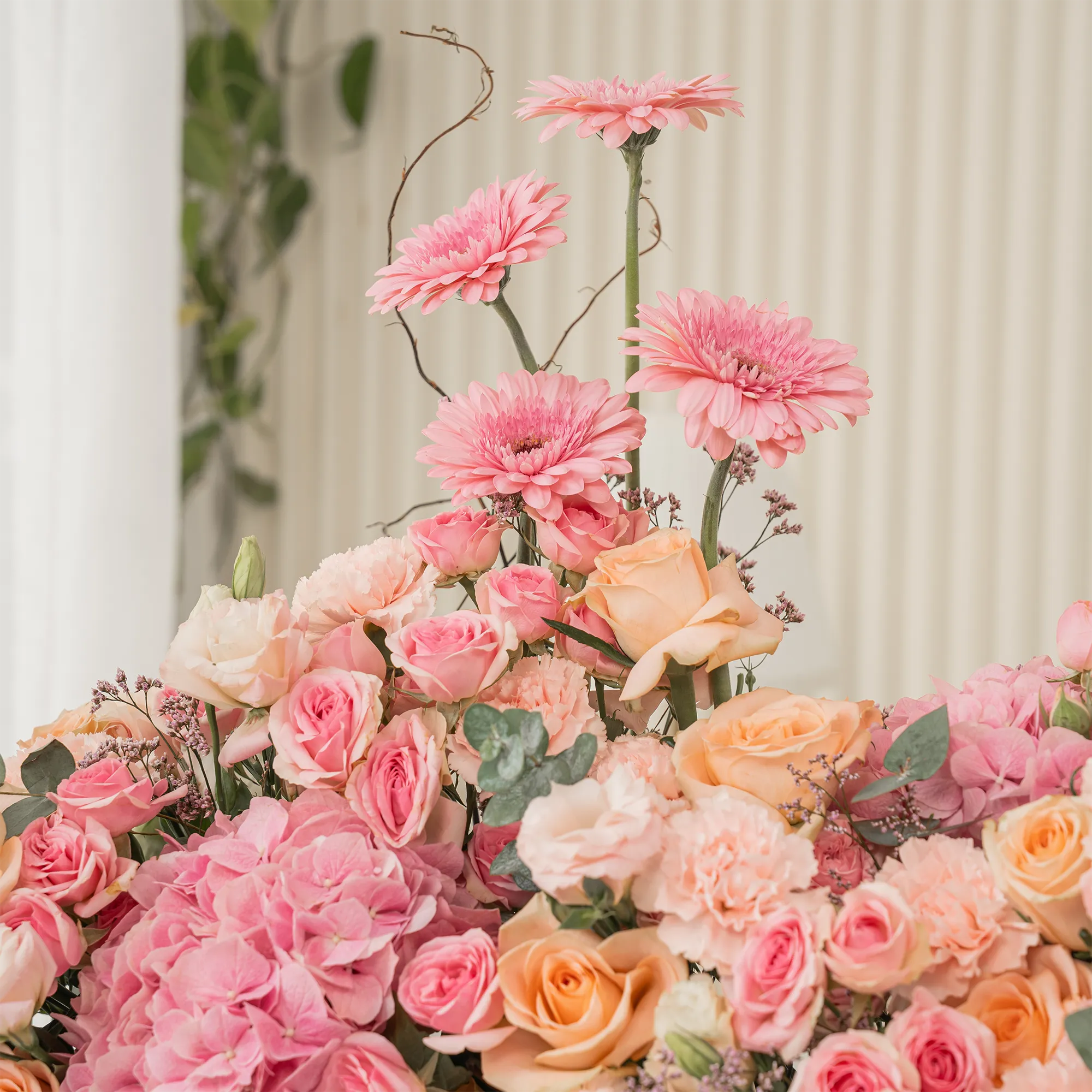 Arrangement of 4 pink gerberas, 3 pink hydrangeas, 20 pink carnations, 20 pink spray roses and 30 peach roses with green fillers in a long black box.
