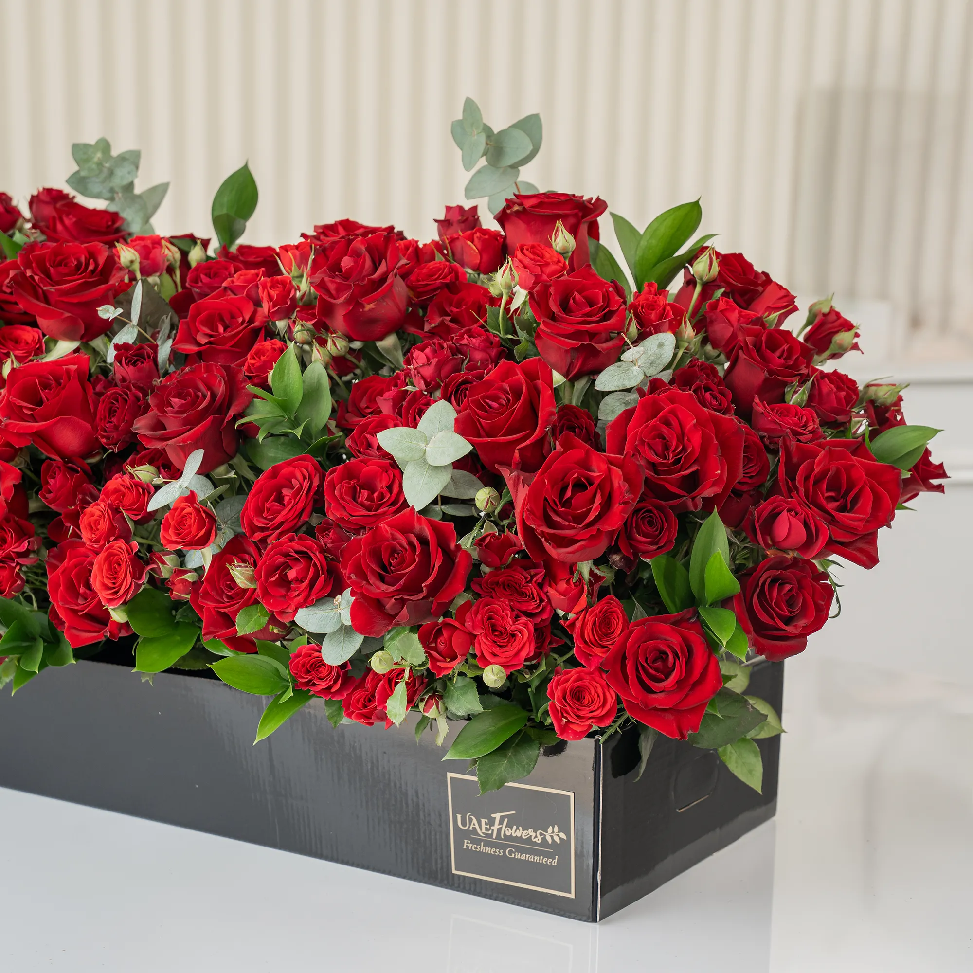 Arrangement of 50 red roses and 30 red spray roses with green fillers in a long black box.