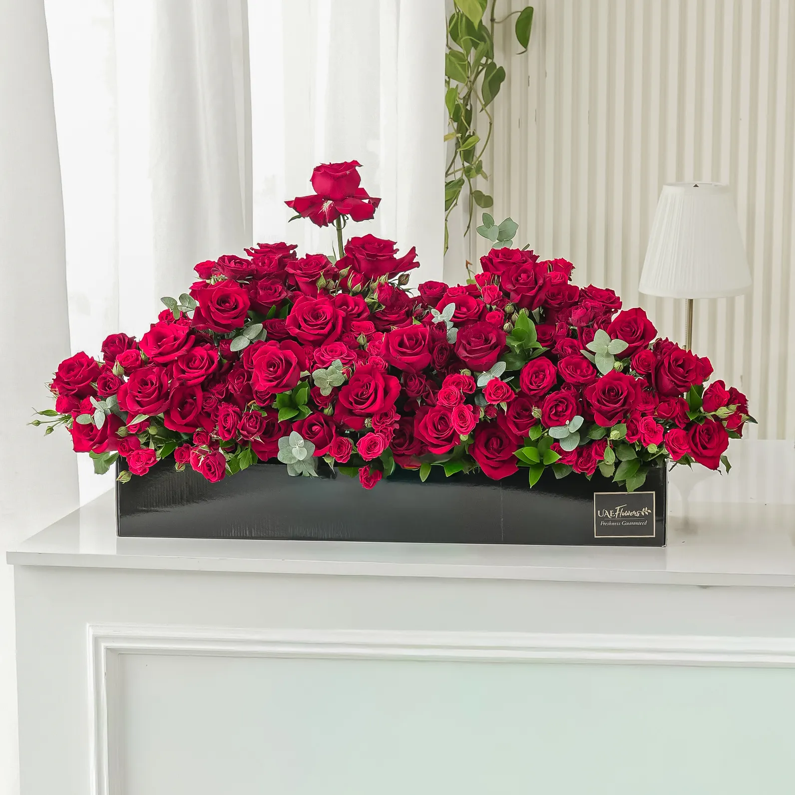 Arrangement of 50 red roses and 30 red spray roses with green fillers in a long black box.