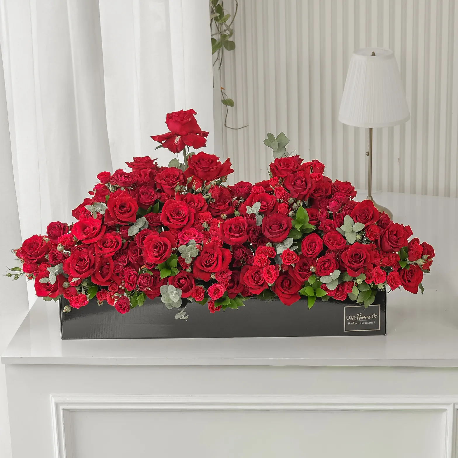 Arrangement of 50 red roses and 30 red spray roses with green fillers in a long black box.
