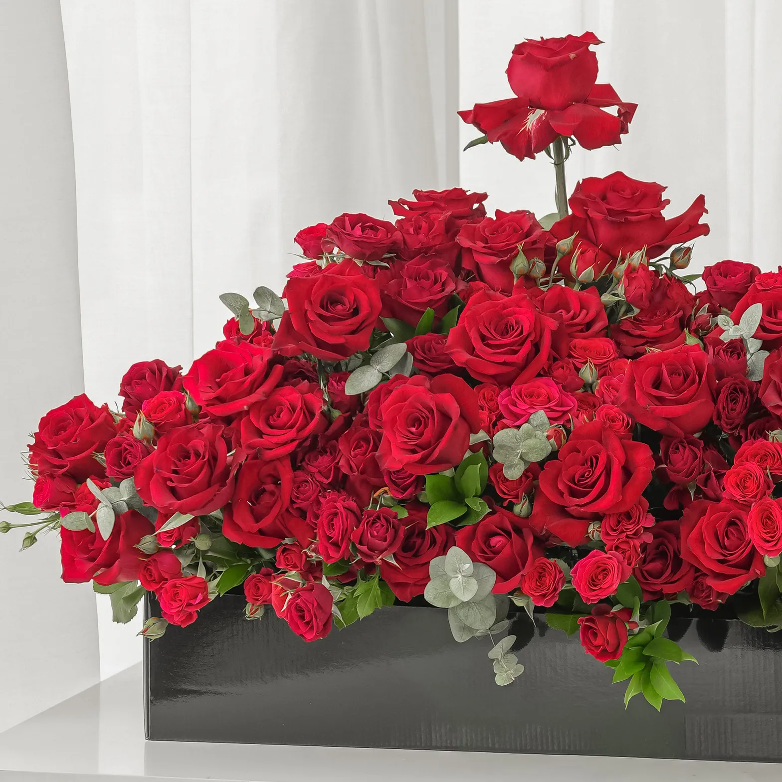 Arrangement of 50 red roses and 30 red spray roses with green fillers in a long black box.