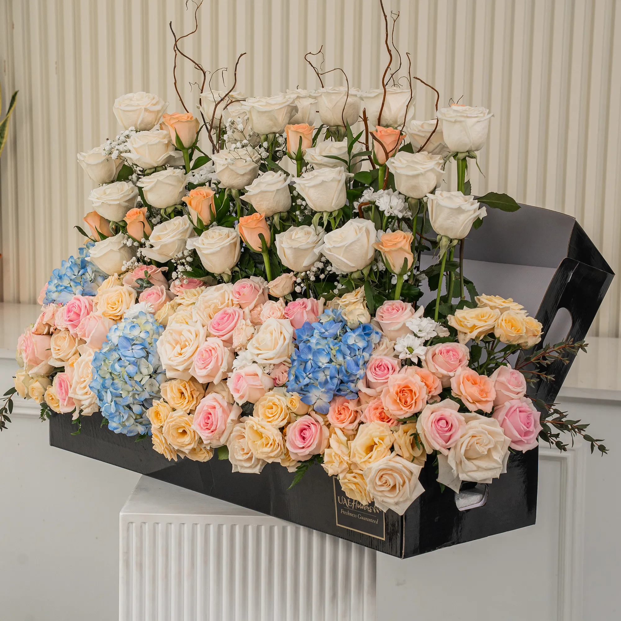 Arrangement of 30 White roses, 20 pink roses, 20 peach roses, 3 blue hydrangeas and 10 peach spray roses with green fillers in a long black box.