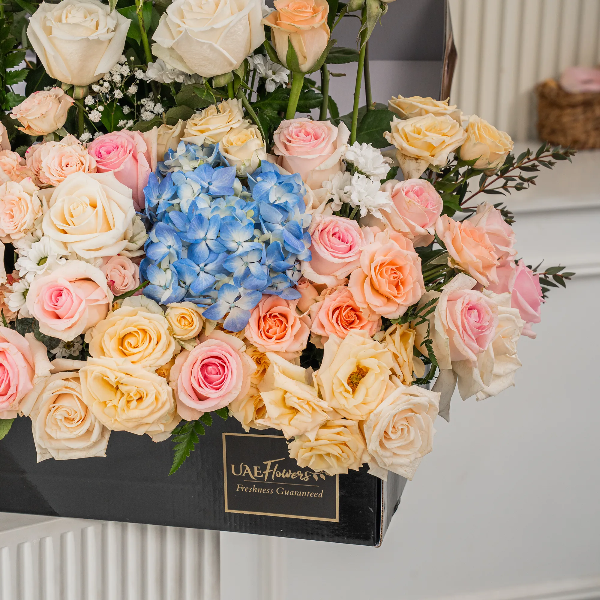 Arrangement of 30 White roses, 20 pink roses, 20 peach roses, 3 blue hydrangeas and 10 peach spray roses with green fillers in a long black box.