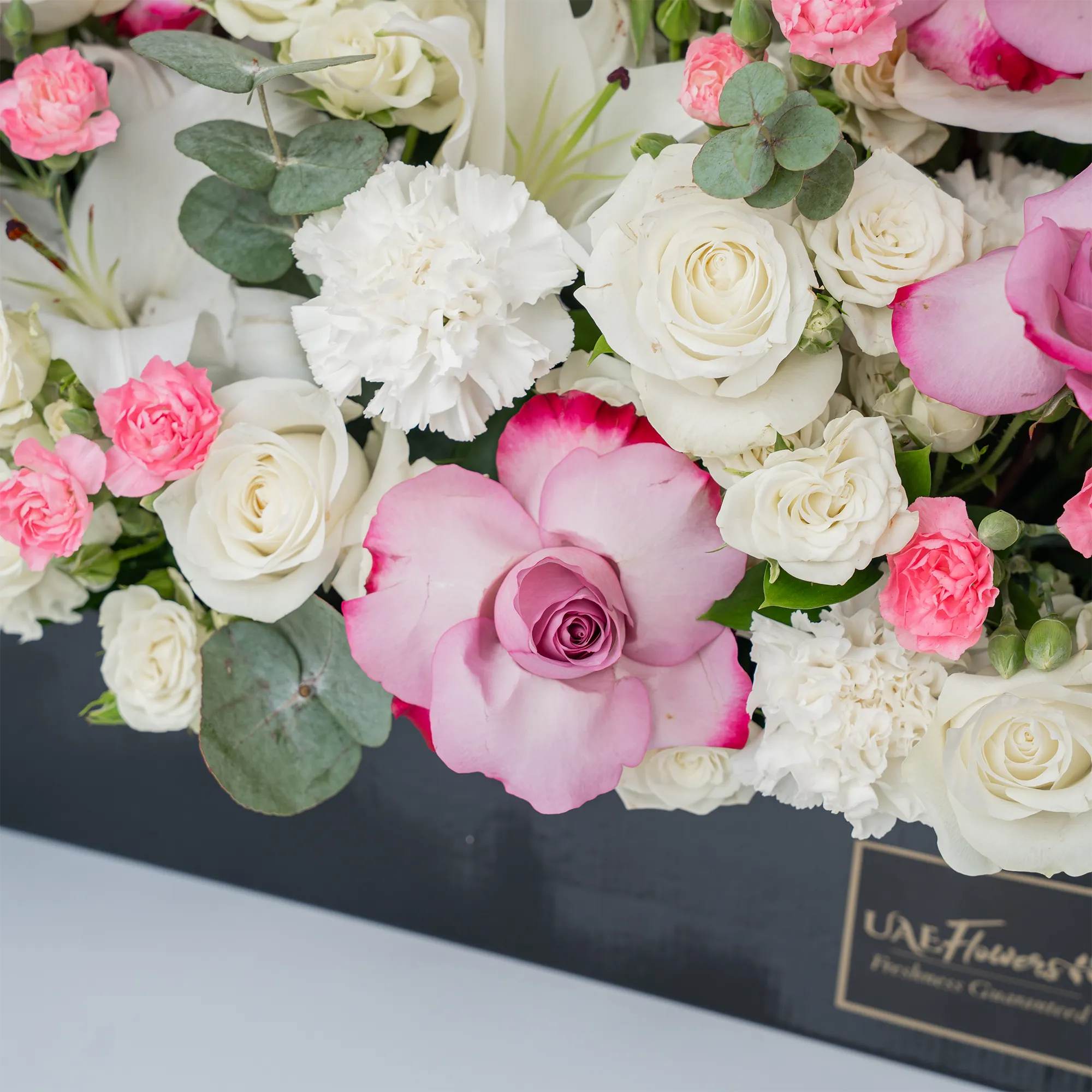 Arrangement of 5 white lilies, 15 purple roses, 15 white roses, 10 white carnations, 10 pink carnations, 10 white spray roses and 2 white hydrangeas with green fillers in a long black box.