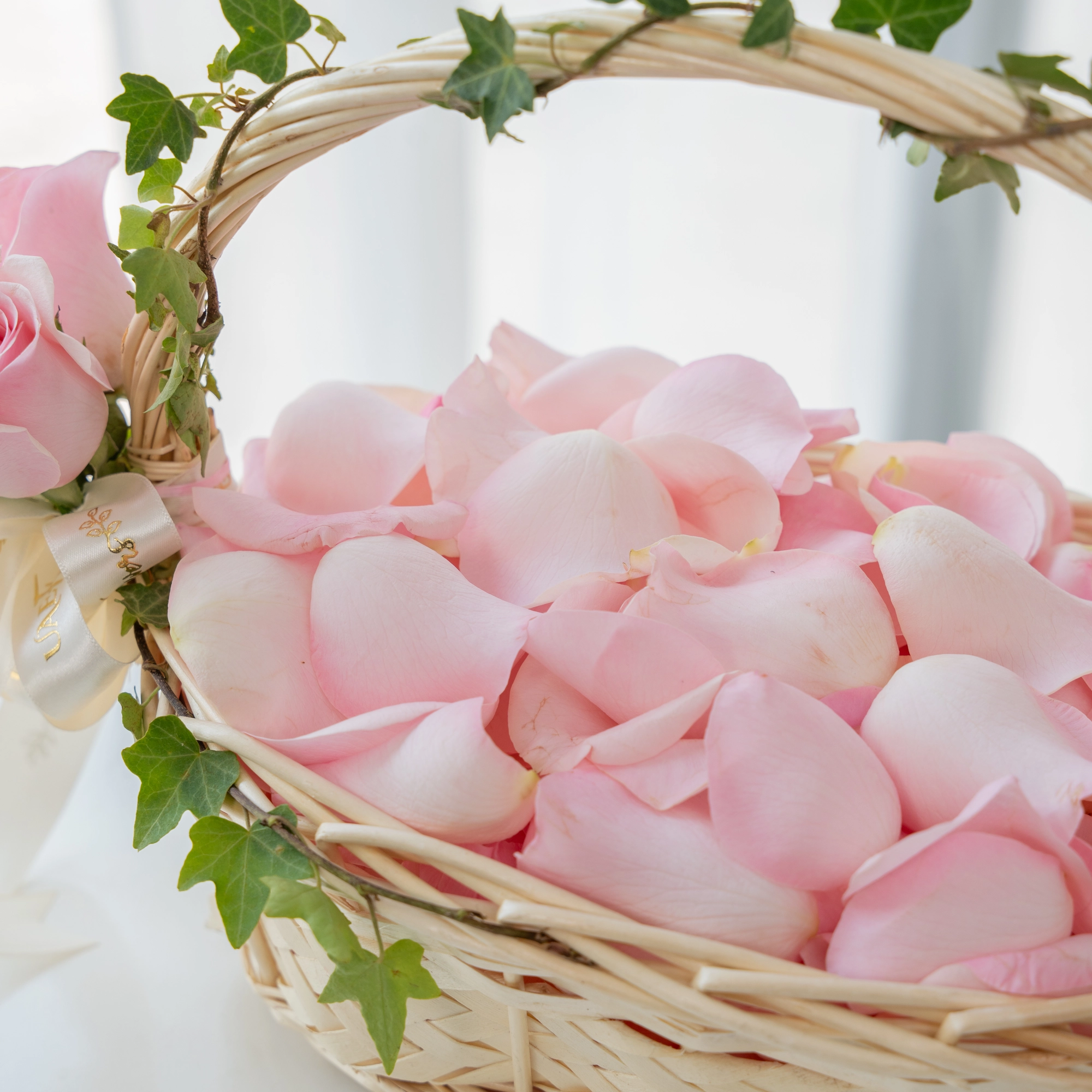 small basket of fresh pink rose petals