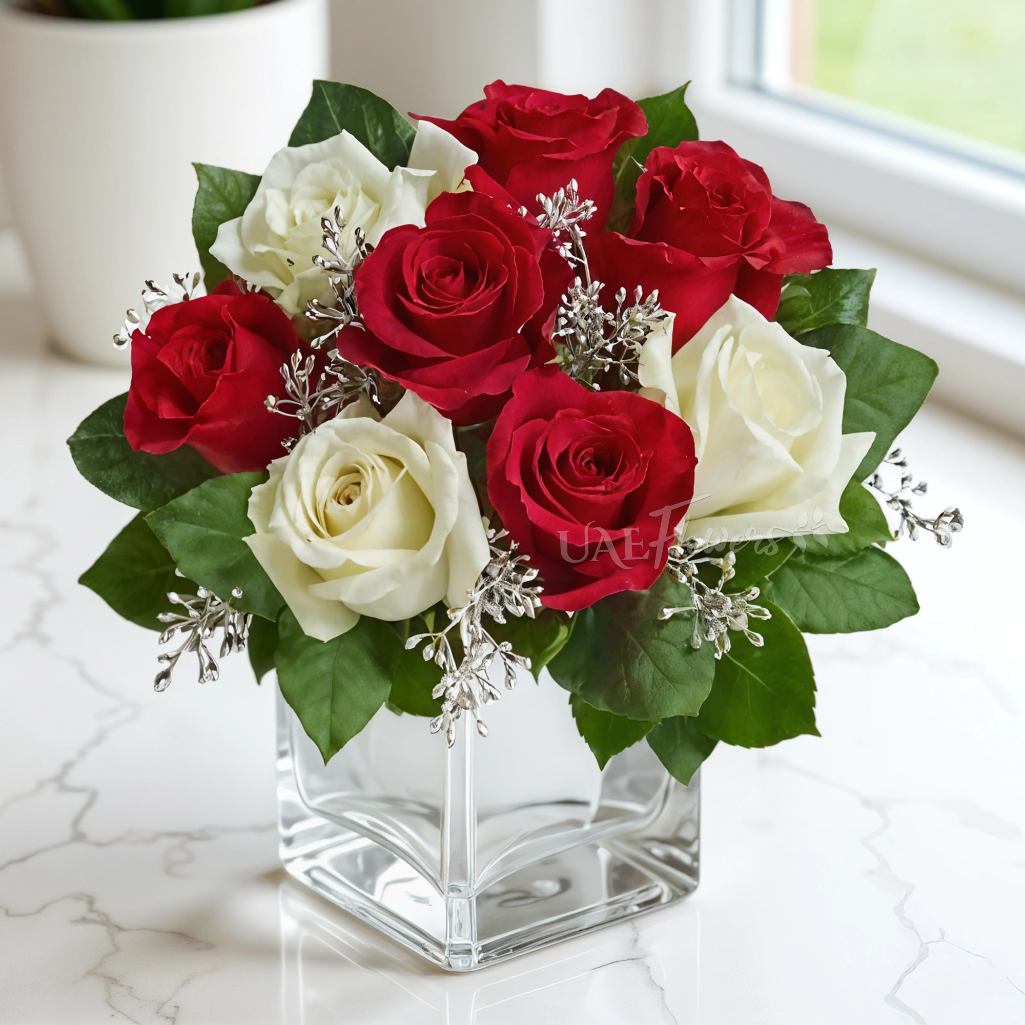7 red and 5 white roses with greens and gypsophilia in a square glass vase