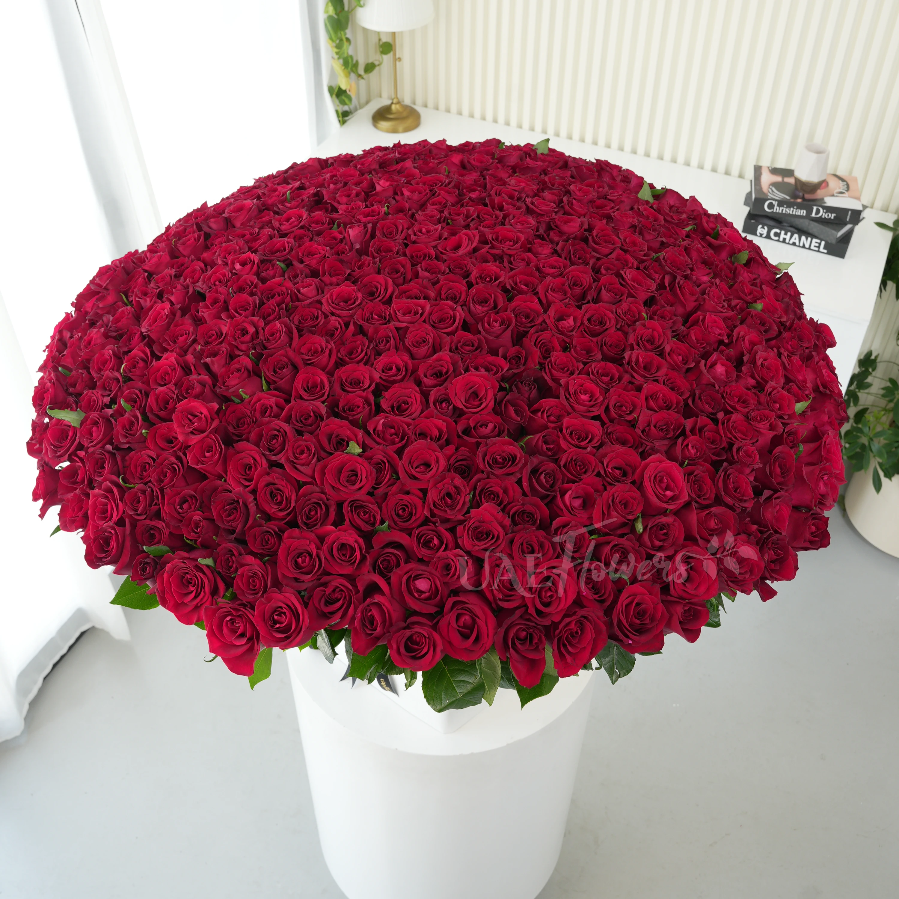 Bouquet of 500 Red Roses with green fillers