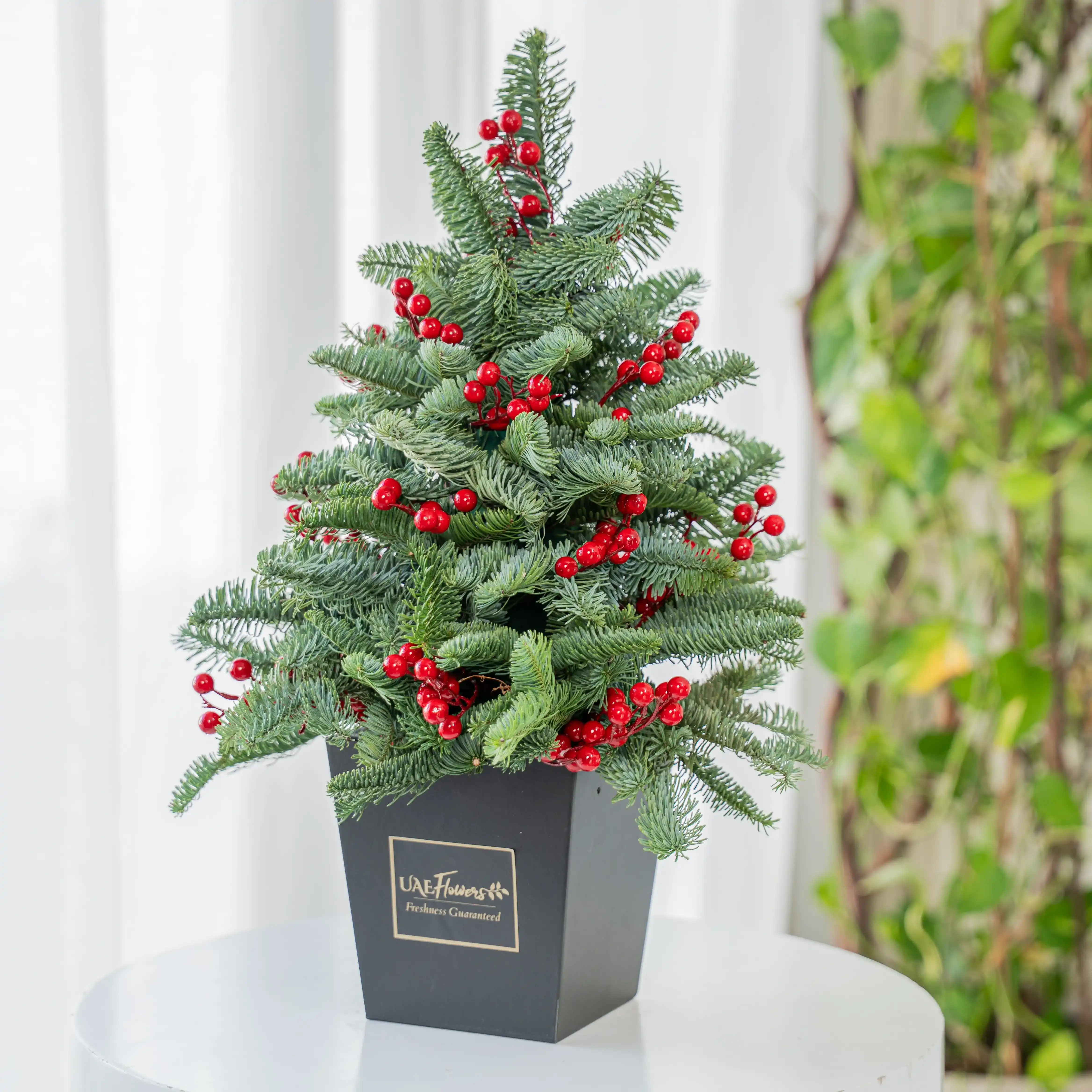 Festive Christmas Tree Gift Set (Set of 3)
