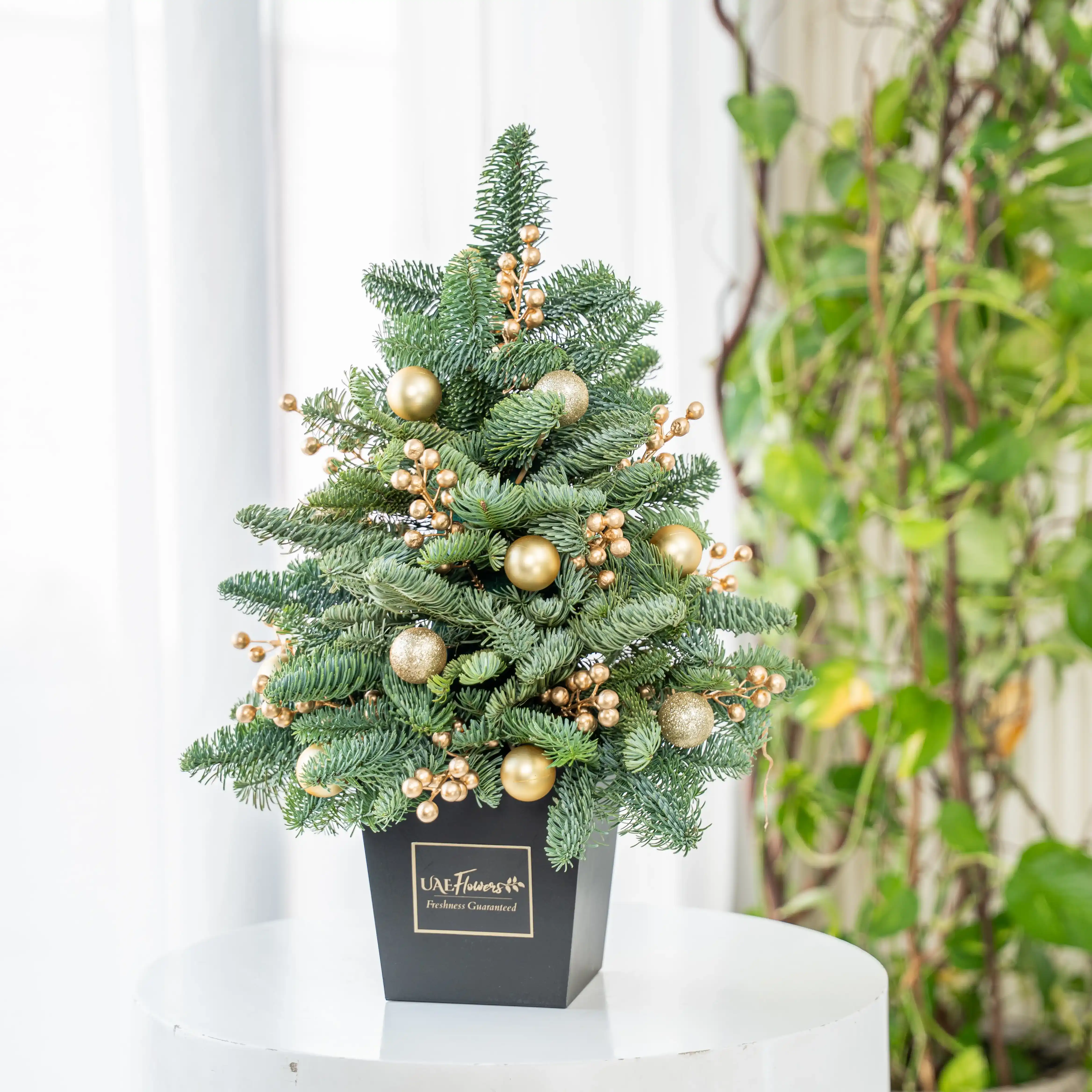 Festive Christmas Tree Gift Set (Set of 3)