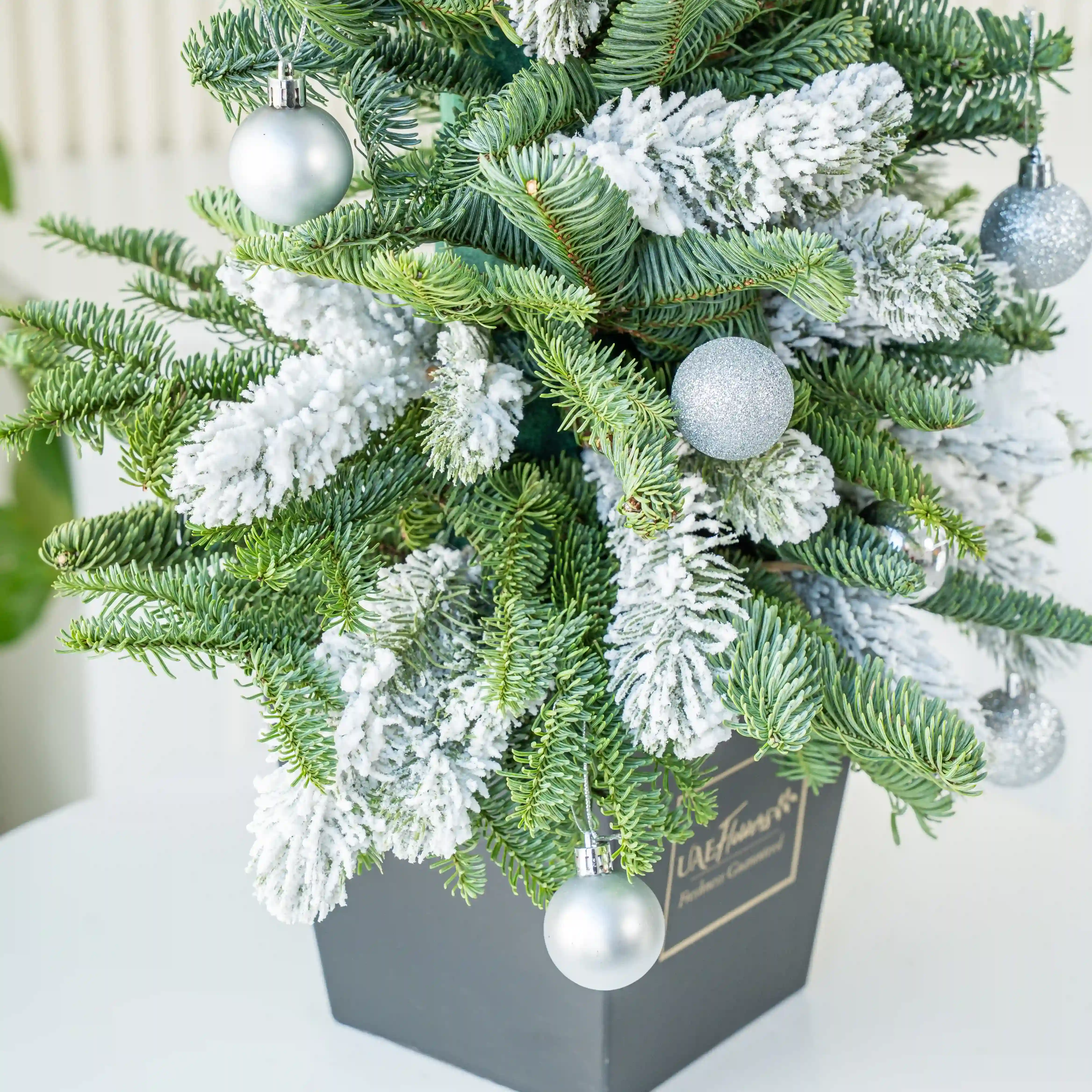 Silver Frosted Mini Christmas Tree