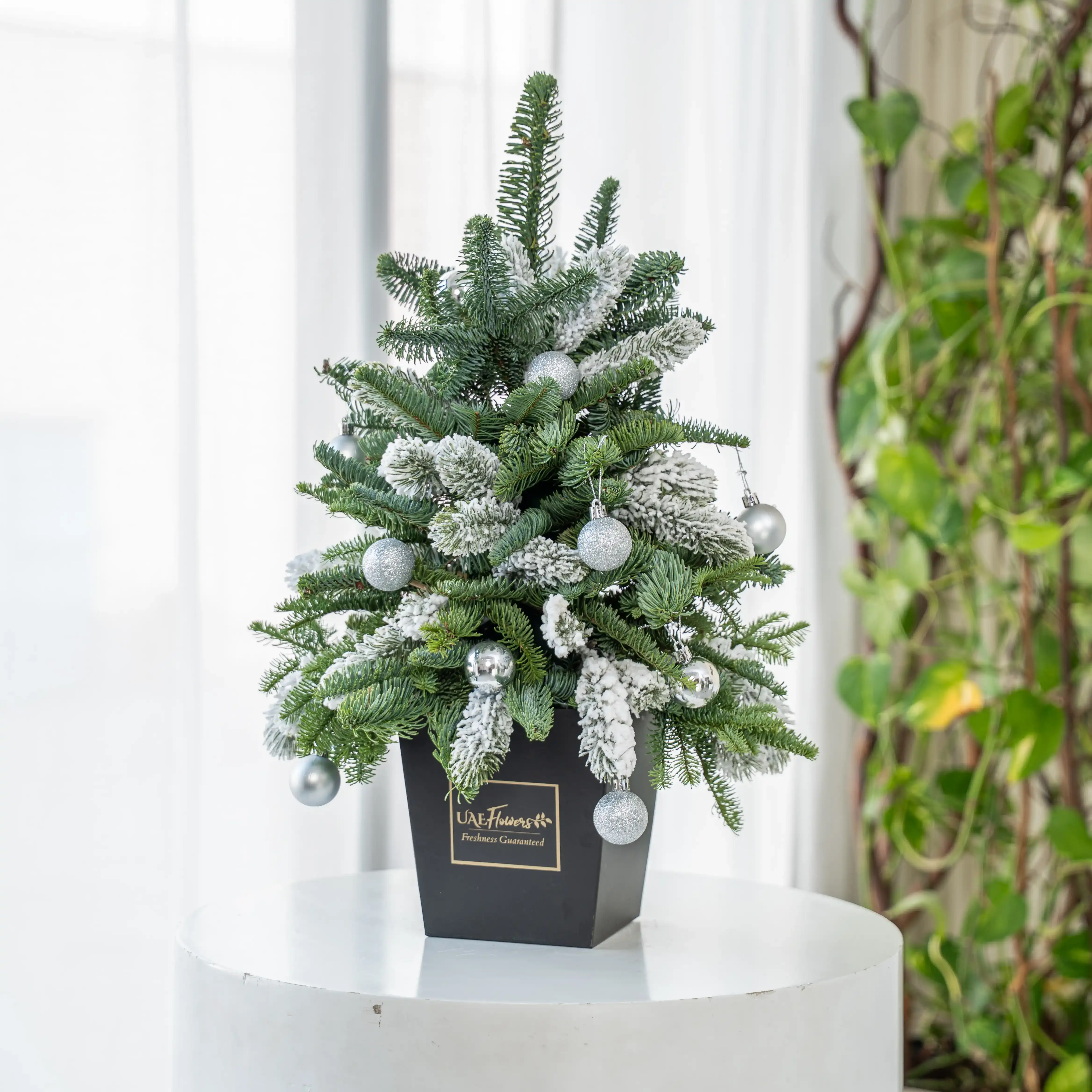 Festive Christmas Tree Gift Set (Set of 3)