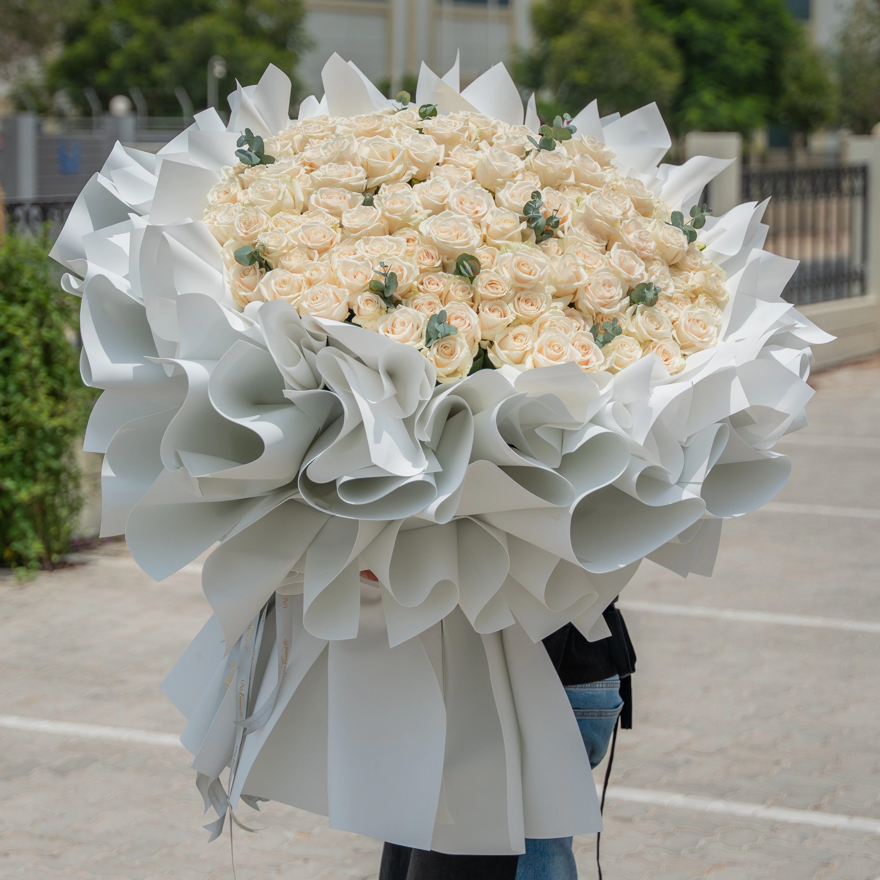 Grand bouquet of 200 cream roses with greens in nice wrapping.