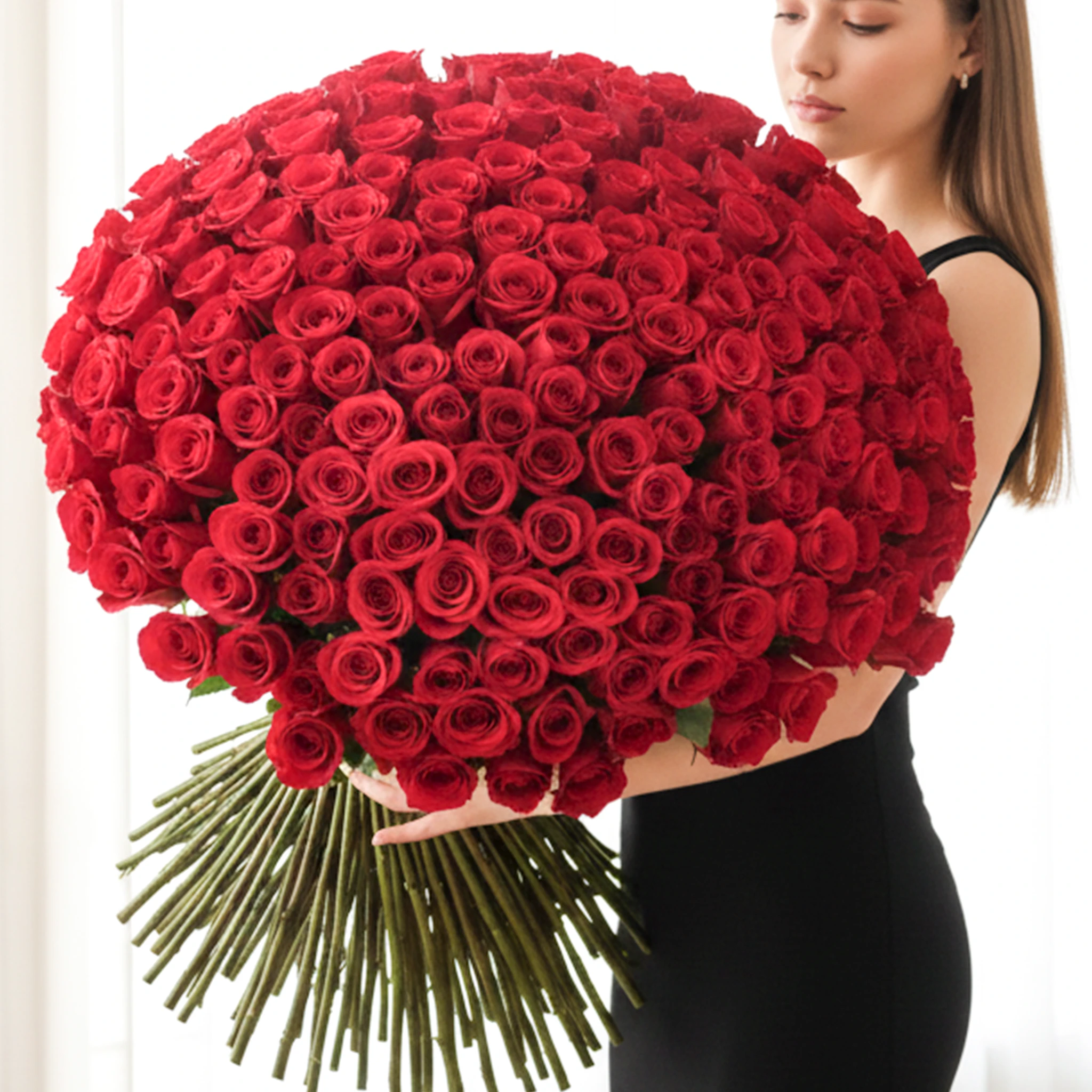 500 fresh red roses